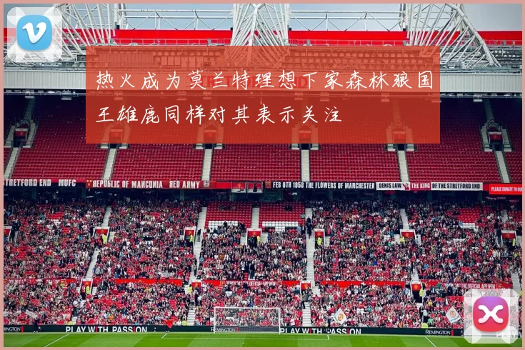 热火成为莫兰特理想下家森林狼国王雄鹿同样对其表示关注