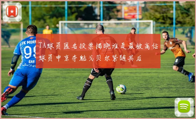 TA球员匿名投票揭晓谁是最被高估球员申京夺魁戈贝尔紧随其后