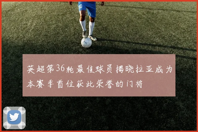 英超第36轮最佳球员揭晓拉亚成为本赛季首位获此荣誉的门将